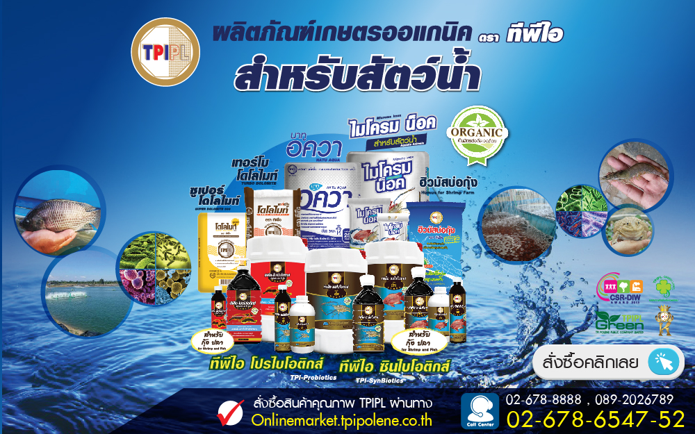 ทีพีไอ โพลีน