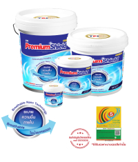 TPI SUPER SPECIAL ARMOUR NANO PAINT (NP101M)- MATT