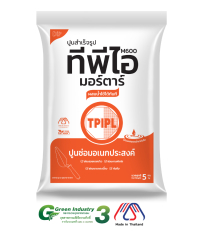 ปูนซ่อมอเนกประสงค์ ทีพีไอ (M600)